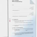 Konkretisierung Aüg Vorlage Erstaunlich Arbeitnehmerüberlassungsvertrag Muster Zum Download