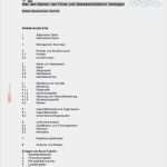 Konkretisierung Aüg Vorlage Süß Businessplan Allgemein