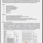 Konkurrenzanalyse Vorlage Excel Süß Großzügig Wettbewerbsanalyse Vorlage Ideen Beispiel