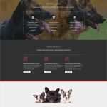 Kontakt Website Vorlage Inspiration Website Vorlage Für Taxi