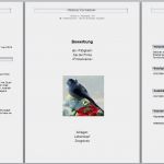 Kontaktanzeige Vorlage Erstaunlich Für Akademiker Und Singles Mit Niveau solingen