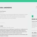 Kontaktformular PHP Vorlage Fabelhaft Standard Resume Diese Lebenslauf Vorlage Will Welt