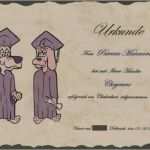 Kontaktformular PHP Vorlage Gut Die Hunde Tita Tagesbetreuung Individuell Täglich