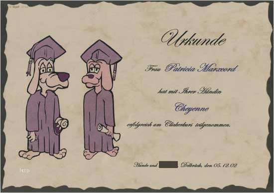 Kontaktformular PHP Vorlage Gut Die Hunde Tita Tagesbetreuung Individuell Täglich