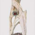 Konto Kündigen Vorlage Hypovereinsbank Neu Cortal Consors Anschrift Wie Kann Ich Aktien Kaufen Und