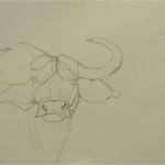 Konzept Erarbeiten Vorlage Elegant Ins Bild Gesetzt Zeichenkurs Seren Ibüffel