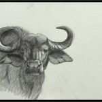 Konzept Erarbeiten Vorlage Schön Ins Bild Gesetzt Zeichenkurs Seren Ibüffel