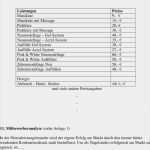 Konzept Vorlage Pdf Gut Konzept Zur Existenzgründung Businessplan Pdf