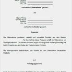 Kooperationsvertrag Vorlage Word Bewundernswert Vorteilspaket – Unternehmenskooperation sofort Zum Download