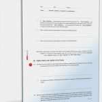 Kooperationsvertrag Vorlage Word Erstaunlich Internationaler Kooperationsvertrag Englisch