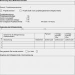 Kosten Nutzen Analyse Vorlage Cool Verwaltungsvorschriften Zur Haushaltsordnung Der Freien