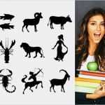 Kostenaufstellung Renovierung Bank Vorlage Erstaunlich Zwilling Passt Am Besten Zu Ses Haustier Passt Laut