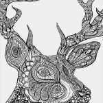 Kostenaufstellung Renovierung Bank Vorlage Genial Malbuch Für Erwachsene Fertifg Ausgemalter Wolf Malbuch