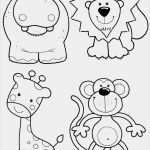 Kostenlose Dreamweaver Vorlagen Cool Memory Vorlagen Zum Ausdrucken Schön Berühmt Kostenlose