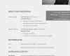 Kostenlose Lebenslauf Vorlage Download Inspiration Professioneller Lebenslauf Vorlage Ktforsenate Frisch