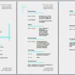 Kostenlose Lebenslauf Vorlagen Word Einzigartig Lebenslauf Vorlagen Kostenlos En Als Word Dateien