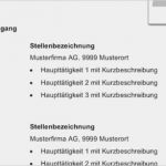 Kostenlose Lebenslauf Vorlagen Word Erstaunlich Lebenslauf Vorlagen Muster Kostenlose Word Vorlage