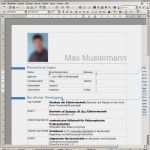 Kostenlose Lebenslauf Vorlagen Word Neu Bewerbungsvorlagen Word 2010 Lebenslauf Kostenlose