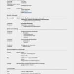 Kostenlose Vorlage Untermietvertrag Hübsch Lebenslauf Vorlage Ferienjob Lebenslauf Beispiel