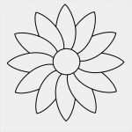 Kostenlose Webseiten Vorlagen Elegant 99 Fensterbilder Blumen Vorlagen Kostenlos Ideen