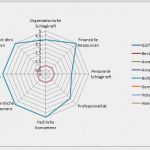Kraftfeldanalyse Vorlage Excel Erstaunlich Stakeholderanalyse Inhalt Global Site