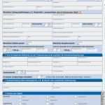 Krankenstand Vorlage Excel Schönste Zins Tilgungsrechner Excel