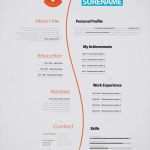 Kreativer Lebenslauf Vorlage Kostenlos Elegant Basic Kreativer Lebenslauf Vorlage Kostenlos Kreative