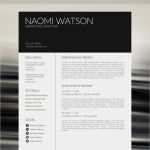 Kreativer Lebenslauf Vorlage Kostenlos Erstaunlich Bieberich Cv Pinterest