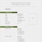 Kreativer Lebenslauf Vorlage Kostenlos Fabelhaft Vorlage 52 Tabellarischer Lebenslauf