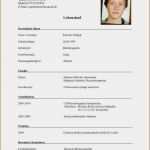 Kreativer Lebenslauf Vorlage Kostenlos Hübsch 14 Perfekter Lebenslauf Vorlage Benjamin Gray