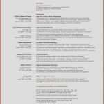 Kreativer Lebenslauf Vorlage Kostenlos Schön Kreativer Lebenslauf Vorlage Word Luxury Kreativer