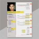 Kreativer Lebenslauf Vorlage Kostenlos Schönste Kreative Lebenslauf Vorlage