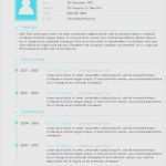 Kreativer Lebenslauf Vorlage Word Angenehm 17 Kreativer Lebenslauf Muster