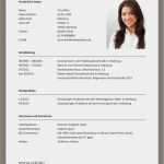 Kreativer Lebenslauf Vorlage Word Hübsch 15 Kreativer Lebenslauf