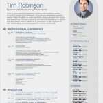 Kreativer Lebenslauf Vorlage Wunderbar 30 Kreative Kostenlose Druckbare Lebenslauf Vorlagen