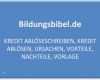 Kredit Bürgschaft Vorlage Einzigartig Bildungsbibel Lernen Bildung Und Karriere