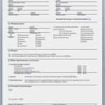 Kreditkarte Kündigen Vorlage Pdf Angenehm 20 Einzigartig Bild Kreditkarte Kündigen Muster