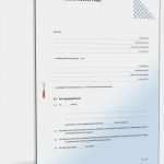 Kreditvertrag Vorlage Word Einzigartig Einstellvertrag Einstallvertrag Pferd Muster Vorlage