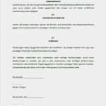 Kreditvertrag Vorlage Word Fabelhaft Bürgschaft Vorlage Pdf – Vorlagen Kostenlos