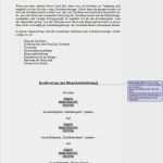 Kreditvertrag Vorlage Word Gut Bürgschaft Vorlage Pdf – Vorlagen Kostenlos