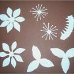 Krepppapier Bilder Vorlagen Inspiration Papierblume Narzisse