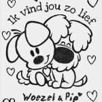 Kreuzstich Vorlagen Kinder Elegant Woezel En Pip Woezel En Pip