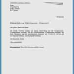 Kundenkartei Excel Vorlage Beste 42 Gut Kündigung Vorlage Fitnessstudio Bilder