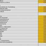 Kundenkartei Excel Vorlage Inspiration 82 Erstaunlich Kosten Nutzen Analyse Vorlage Bilder