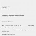 Kündigung Ausbildungsverhältnis Vorlage Angenehm Muster Vorlage Für Fristlose Auszubildendenkündigung