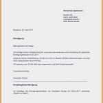 Kündigung Auszahlung Resturlaub Vorlage Erstaunlich 20 Kündigung Auszahlung Resturlaub Vorlage