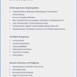 Kündigung Douglas Card Vorlage Süß Kündigung Probezeit Muster Der Probezeit Vorlage Diebstahl