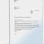 Kündigung Dynamik Lebensversicherung Vorlage Bewundernswert Kündigung Einer Versicherung Muster Vorlage Zum Download