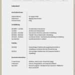 Kündigung Fitness First Vorlage Wunderbar 15 Einstellungszusage Muster