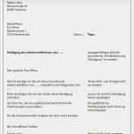 Kündigung Fristgerecht Vorlage Genial Gratis Vorlagen &amp; Tipps Zum Arbeitsvertrag Kündigen